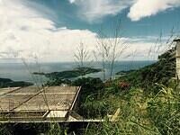 IMG 6221(1)