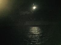 IMG 6229(1)