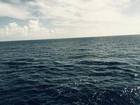 IMG 6234(1)