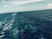 IMG 6235(1)