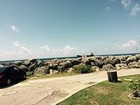 IMG 6240