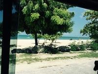 IMG 6254(1)
