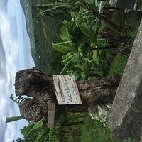 IMG 6261