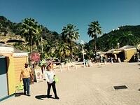 IMG 6284
