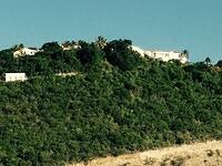 IMG 6291(1)