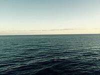 IMG 6298(1)