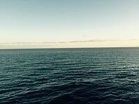 IMG 6298