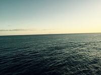 IMG 6299(1)