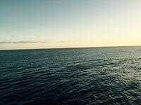 IMG 6299