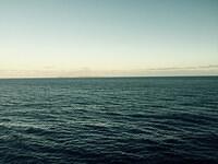 IMG 6300(1)