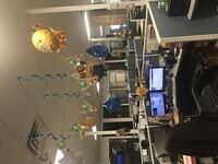 IMG 6590