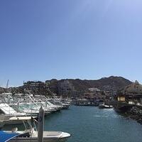 IMG 6834