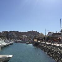 IMG 6835