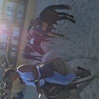 IMG 6908