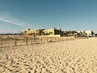 IMG 6915(1)