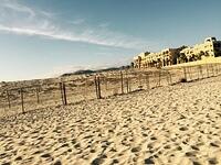 IMG 6920(1)