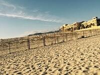 IMG 6921(1)