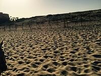 IMG 6922(1)