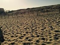 IMG 6923(1)