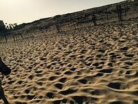 IMG 6924(1)