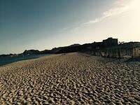 IMG 6937(1)