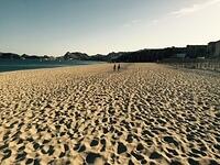 IMG 6942(1)