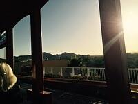 IMG 6946(1)