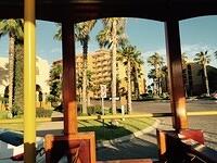 IMG 6948
