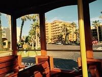 IMG 6950