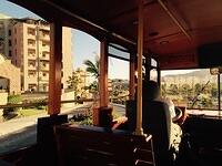 IMG 6951