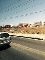 IMG 6970(1)
