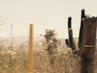 IMG 6972(1)