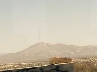 IMG 6973(1)