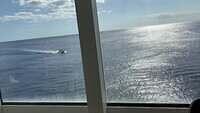 IMG 6974