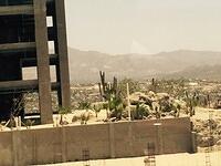 IMG 6976