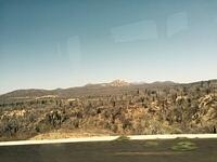 IMG 6979(1)