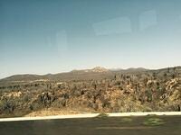IMG 6979