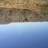 IMG 6981