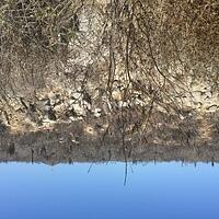 IMG 6988