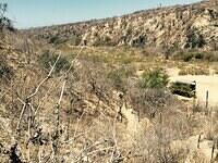 IMG 7006(1)
