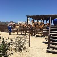 IMG 7012