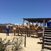 IMG 7013
