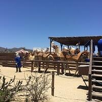 IMG 7014