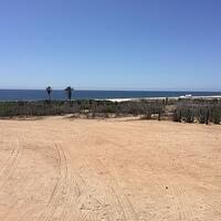 IMG 7019