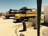 IMG 7021(1)