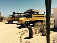 IMG 7022(1)