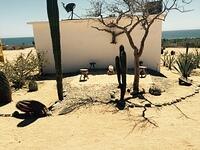 IMG 7024(1)