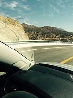 IMG 7031(1)