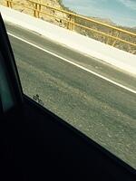IMG 7035(1)