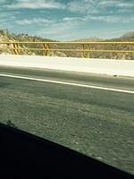 IMG 7037